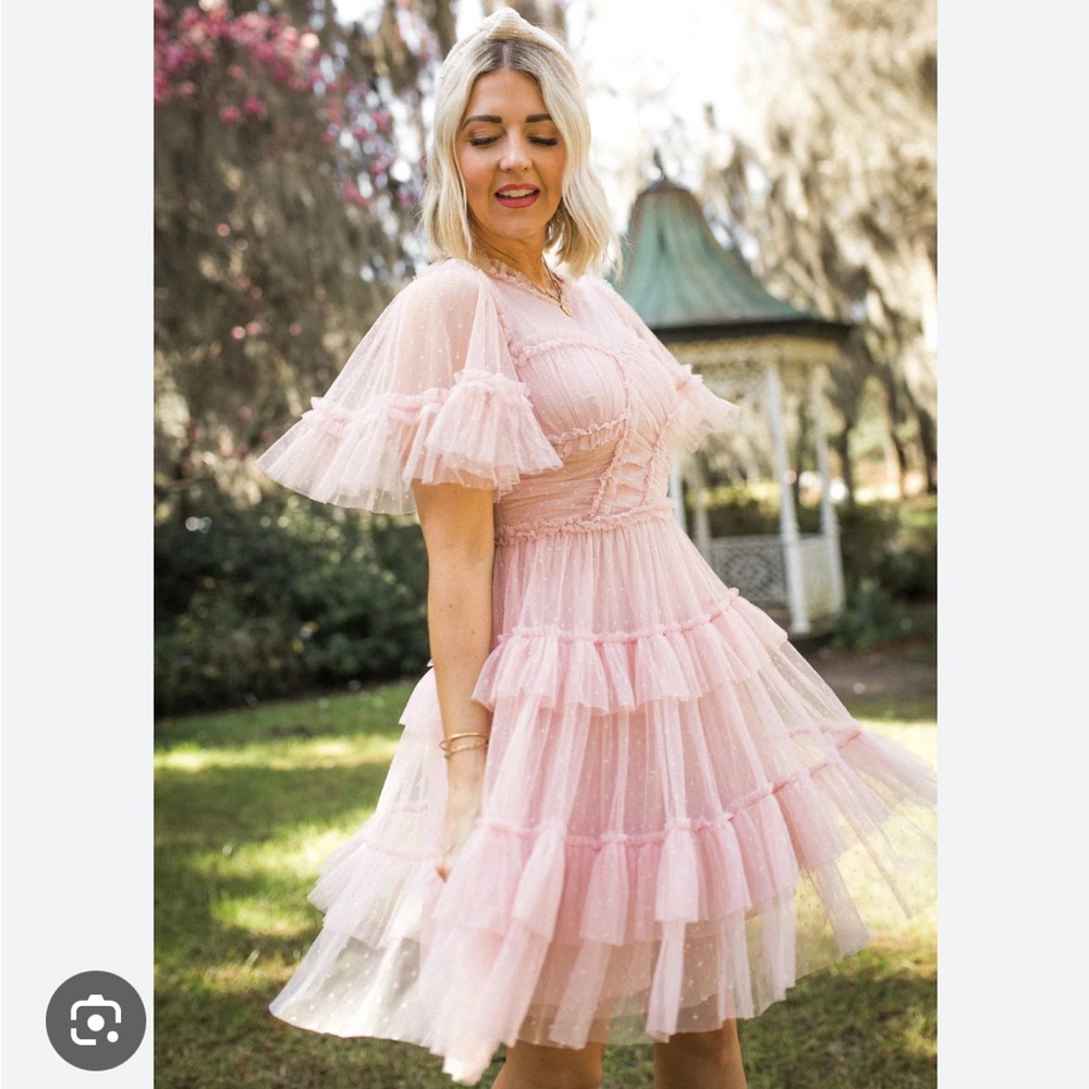 New with tags whimsical dress in blush